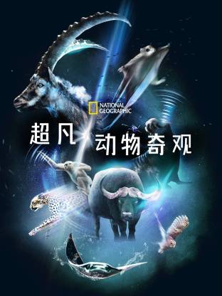 影视封面